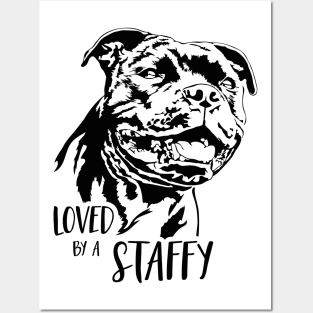 Staffordshire Bull Terrier loved by a staffy dog saying Posters and Art
